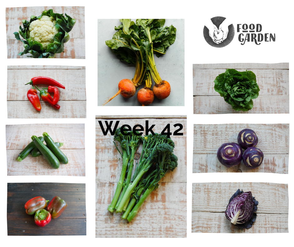 Week 42 - Bullhorn Capsicum, Red Cabbage, Purple Broccolini, Artichokes, Cos Lettuce and Pink Grapefruit