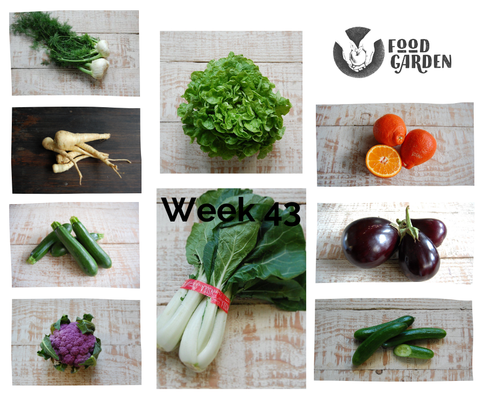 Week 43 - Oak and Cos Lettuce from Daylesford, Purple Broccolini, Green Cauliflower, Gold Beetroot and Tangelo