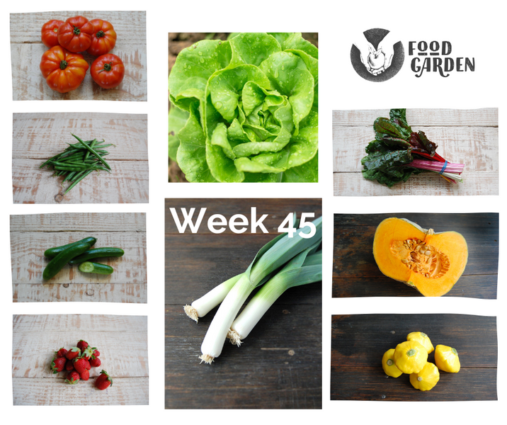 Week 45 - Strawberries from Bullarto, Butter Lettuce from Campbelltown ...