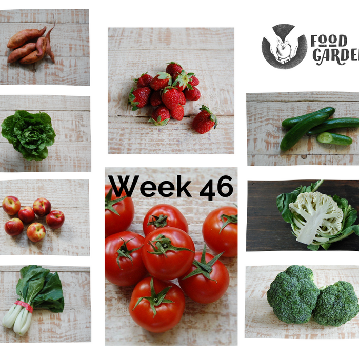 Week 46 - Cauliflower, Broccoli, Beans, Cucumber, Lettuce, Tomato, Strawberries and Nectarines