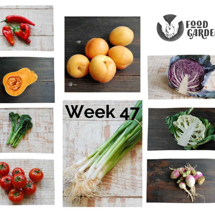 Week 47 - Spring Onion, Bullhorn Capsicum, Snow Peas, Oak Lettuce, Red Cabbage and Apricots