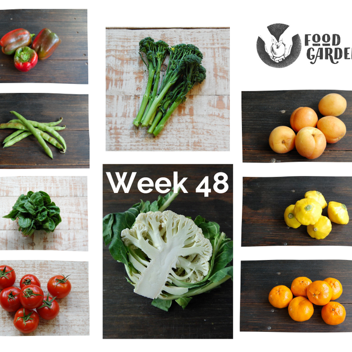 Week 48 - Snow Peas, Broccolini, Tomato, Baby Cos Lettuce, Spinach, Apricots and Honey Murcotts