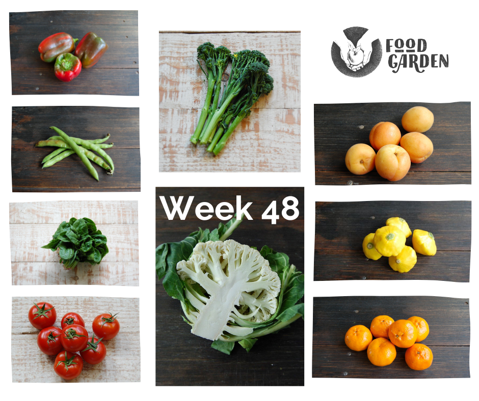 Week 48 - Snow Peas, Broccolini, Tomato, Baby Cos Lettuce, Spinach, Apricots and Honey Murcotts