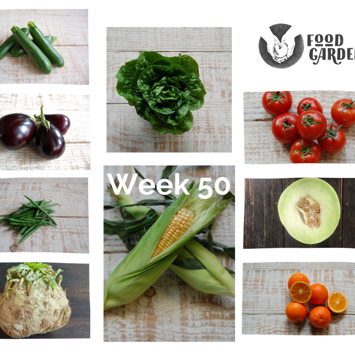 Week 50 - Labertouche Eggplant and Tomato, biodynamic Cucumber, late pick Celeriac, Sweet Corn and Honeydew