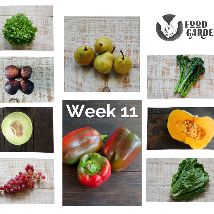 Week 11 - Purple Broccolini, Capsicum, Sweet Corn, Figs, Honeydew and Rockmelon