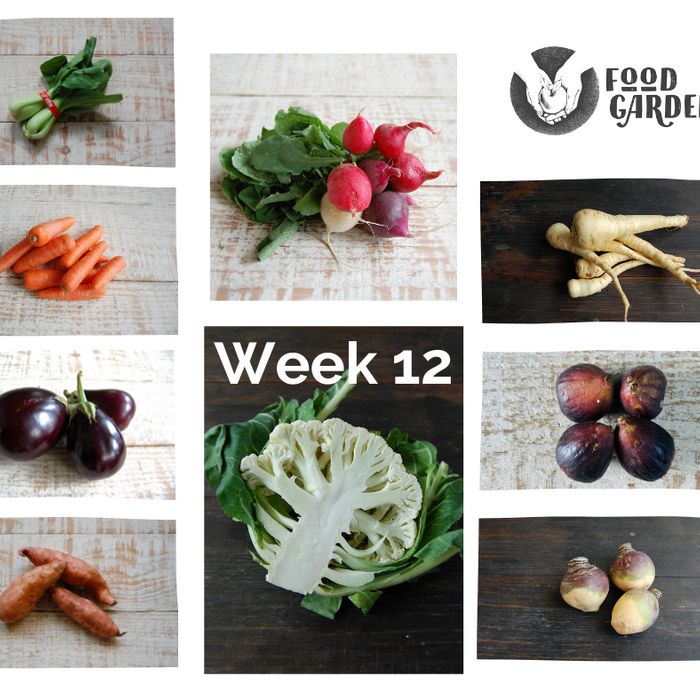 Week 12 - Eggplant, Cauliflower, Pak Choy, Sweet Potato, Swede, Red Sensation Pears and Gala Apples