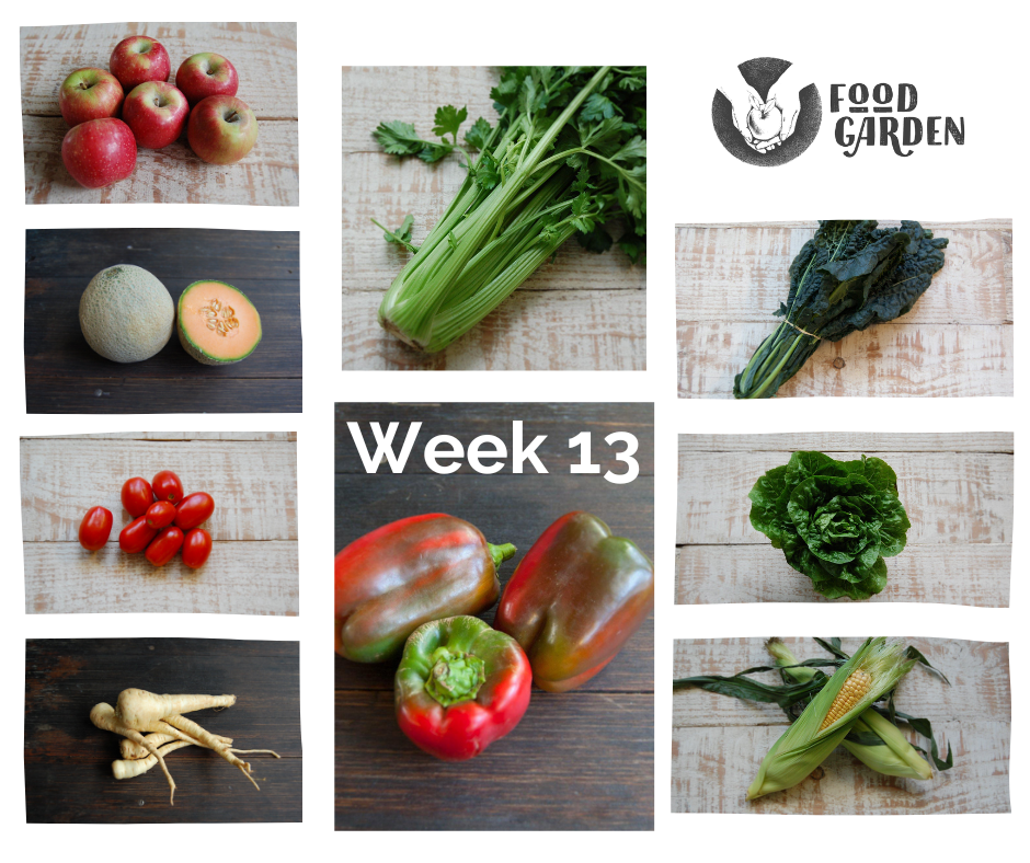 Week 13 - Red Capsicum, Sweet Corn, Celery, Sweet Potato, Cos Lettuce and Rockmelon