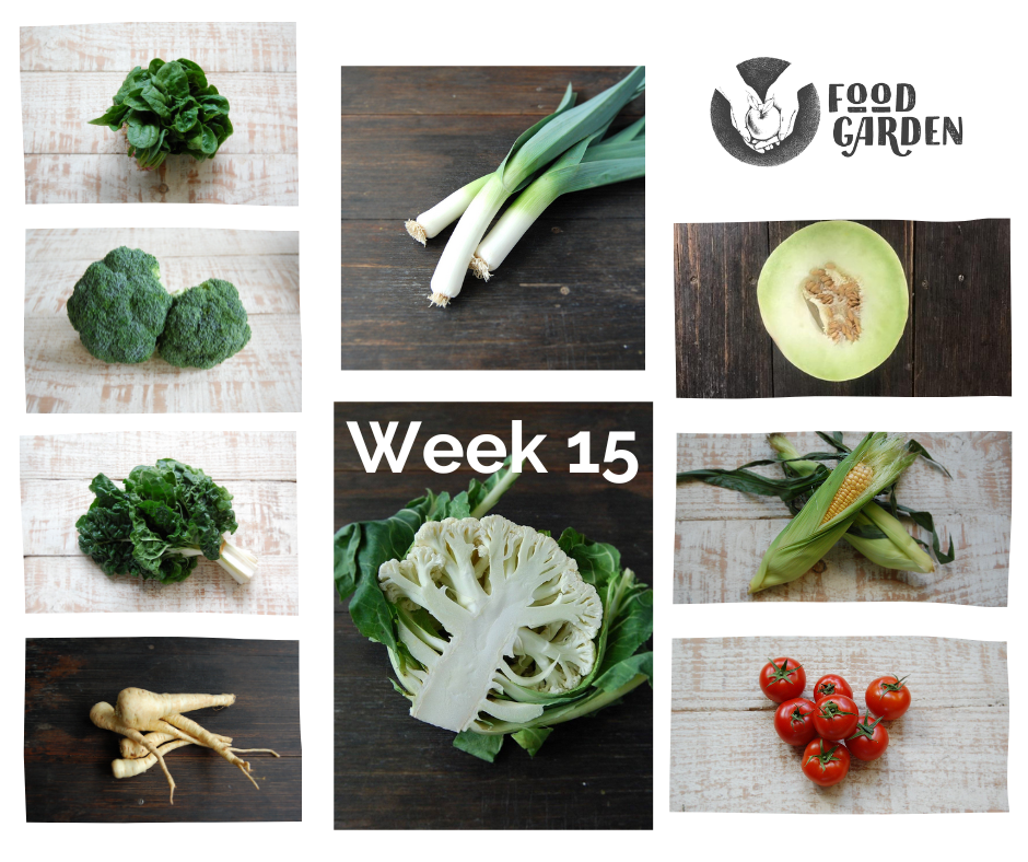 Week 15 - Brussel Sprouts, Broccoli, Cauliflower, Cabbage, Tomato, Pomegranate and Honeydew
