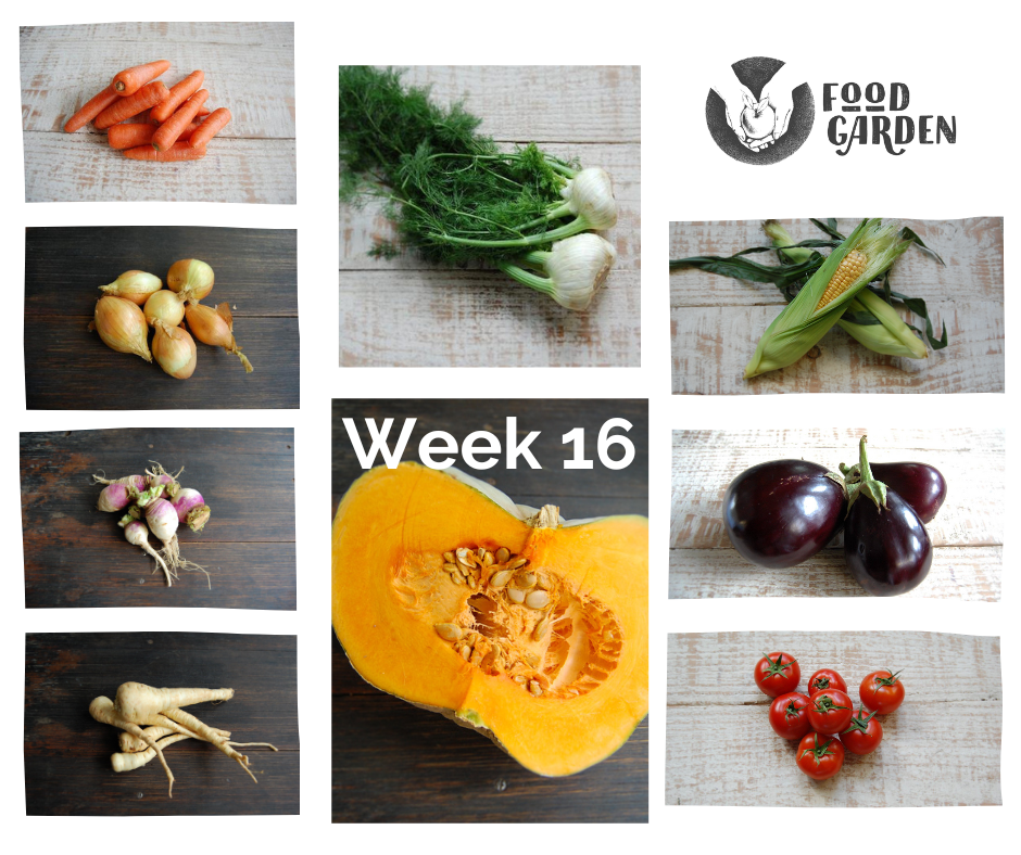 Week 16 - Parsnip, Broccoli, Celery, Dutch Creams, Pumpkin, Tomato and Beurre Bosc Pears