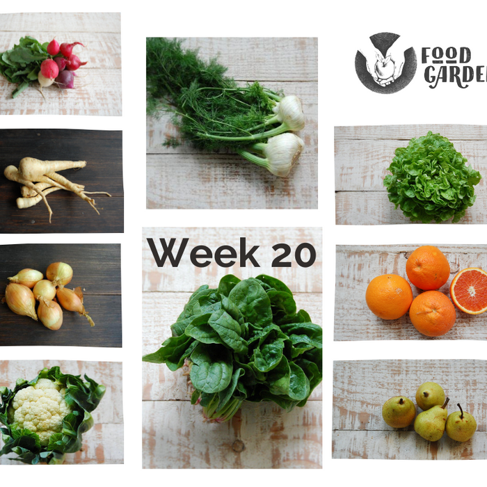 Week 20 - Oak Lettuce, Radish, Cauliflower, Beans, Spinach and Fennel