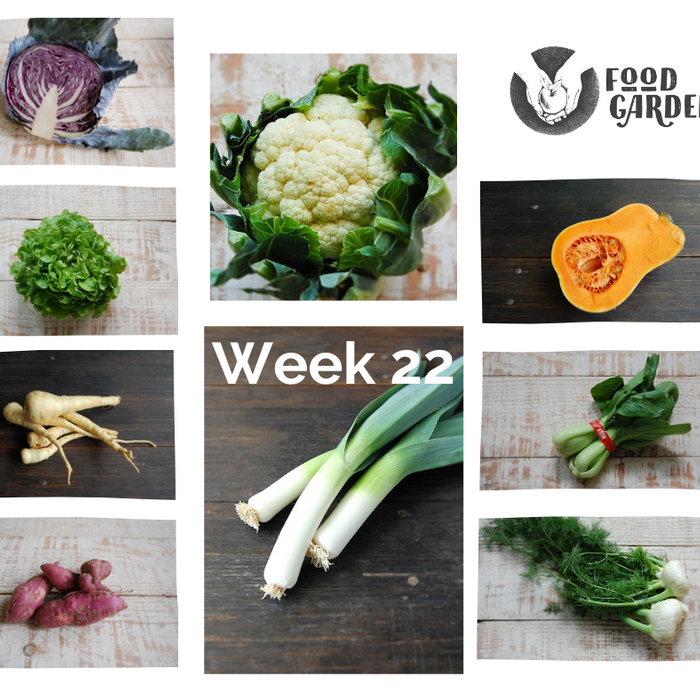 Week 22 - Cauliflower, Red Cabbage, Fennel, Oak Lettuce, Pak Choy and Leek