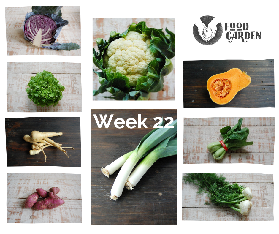 Week 22 - Cauliflower, Red Cabbage, Fennel, Oak Lettuce, Pak Choy and Leek