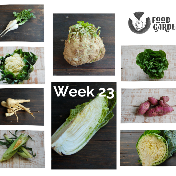 Week 23 - Wombok, Cauliflower, Daikon, Sweet Corn, Baby Cos and Celeriac