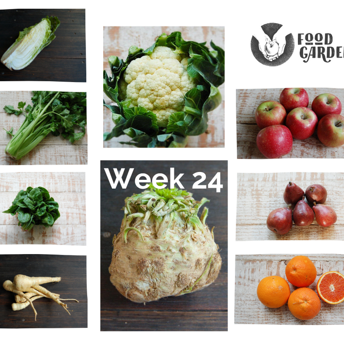 Week 24 - Celeriac, Cauliflower, Parsnip, Pumpkin, Spinach, Wombok and Celery