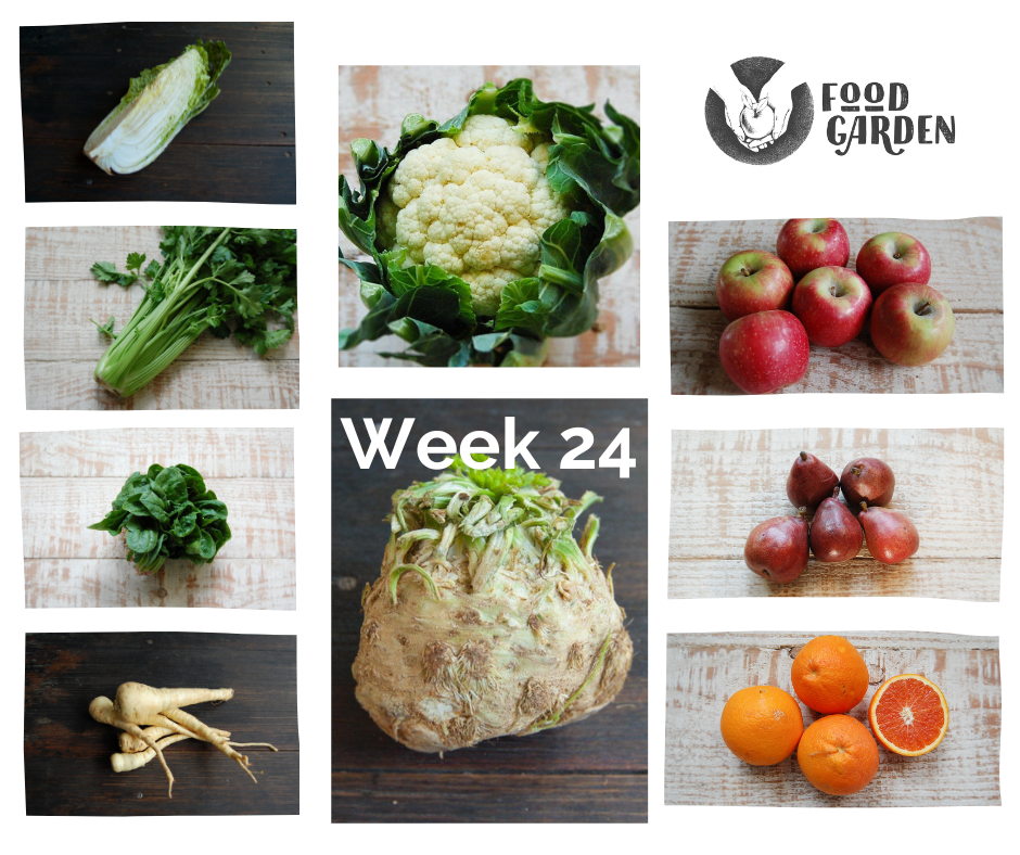 Week 24 - Celeriac, Cauliflower, Parsnip, Pumpkin, Spinach, Wombok and Celery