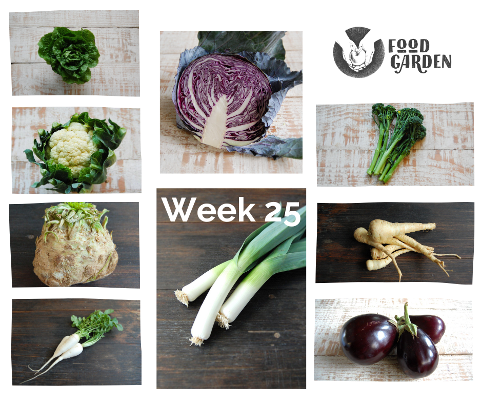 Week 25 - Red Cabbage, Leek, Beetroot, Fennel, Eggplant, Cauliflower a ...