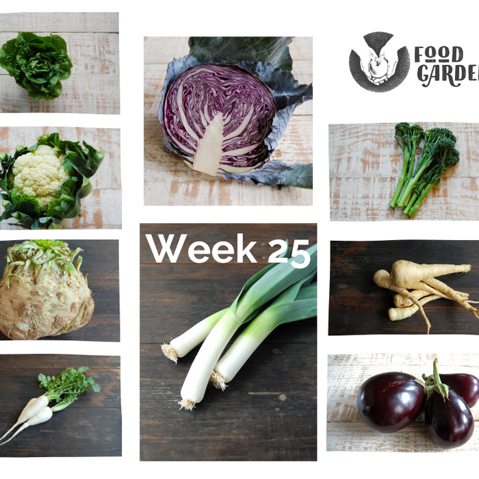 Week 25 - Red Cabbage, Leek, Beetroot, Fennel, Eggplant, Cauliflower and Bok Choy