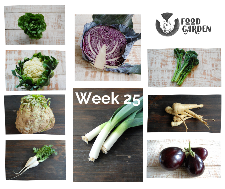 Week 25 - Red Cabbage, Leek, Beetroot, Fennel, Eggplant, Cauliflower and Bok Choy