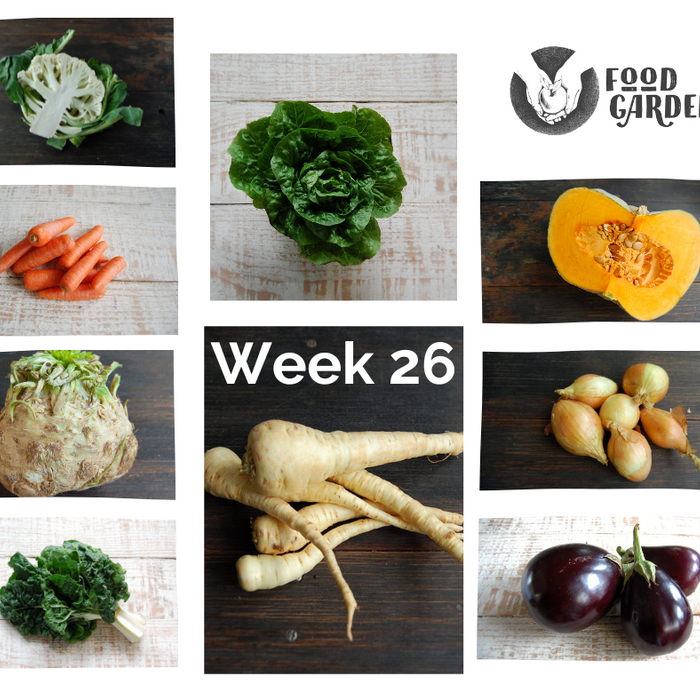 Week 26 - Tangelo, Blood Orange, Mandarin, Navels, Red Grapefruit  and Cara Cara