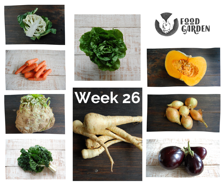 Week 26 - Tangelo, Blood Orange, Mandarin, Navels, Red Grapefruit  and Cara Cara