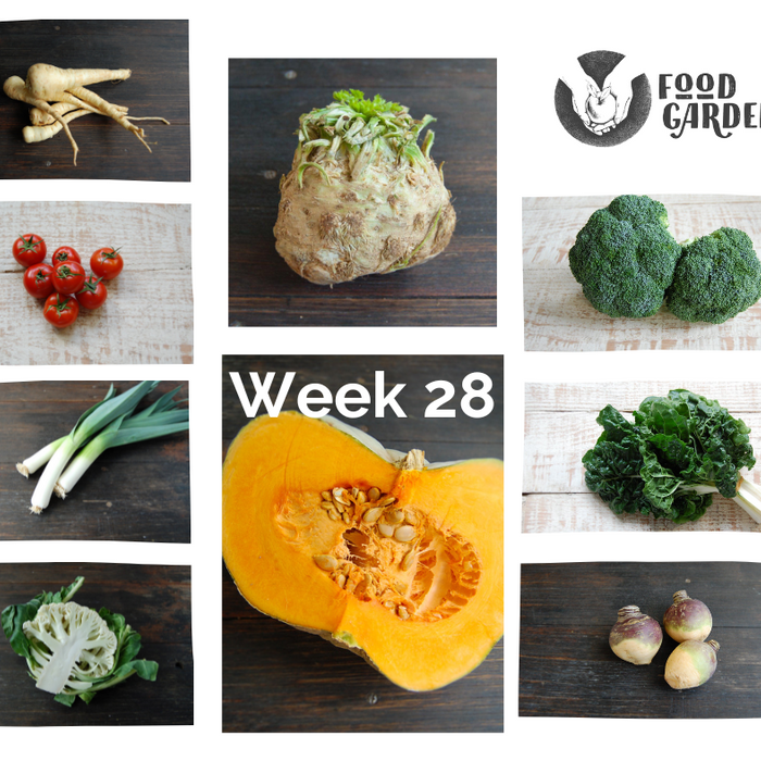 Week 28 - Celeriac, Parsnip, Swede, Tomato, Silverbeet and Broccoli