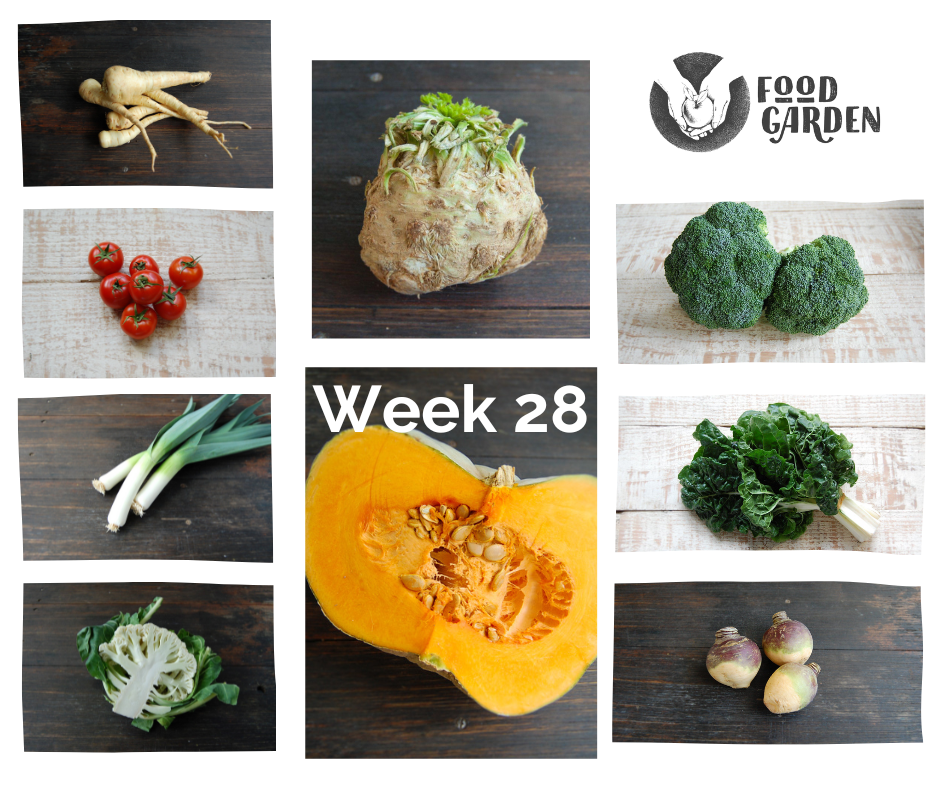 Week 28 - Celeriac, Parsnip, Swede, Tomato, Silverbeet and Broccoli