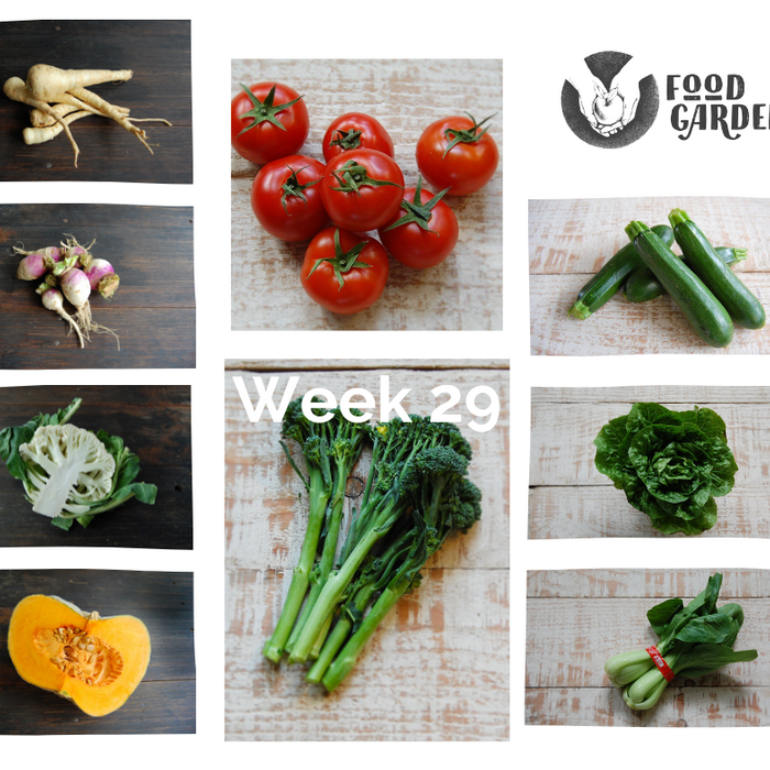 Week 29 - Broccolini, Parsnip, Cauliflower, Chinese Greens, Tomato, Turnip and Zucchini