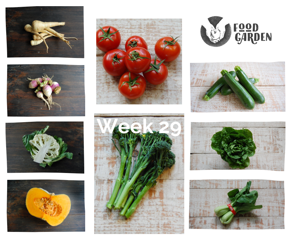 Week 29 - Broccolini, Parsnip, Cauliflower, Chinese Greens, Tomato, Turnip and Zucchini