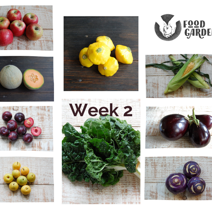 Week 2 - Kalie Apples, Nashi Pears, Blood Plums, Rockmelon and Avocado