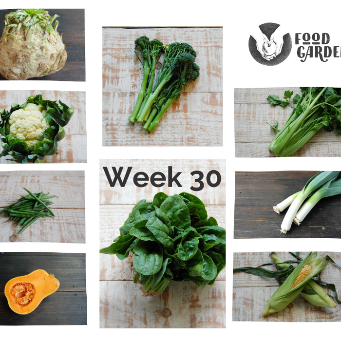 Week 30 - Sweet Corn, Celery, Broccolini, Wombok, Cauliflower and Afrouer Mandarins