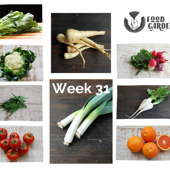 Week 31 - Chinese Broccoli, Sweet Corn, Tomato, Daikon Radish, Celeriac, Sweet Potato and Parsnip