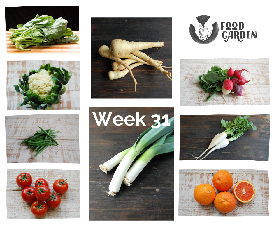 Week 31 - Chinese Broccoli, Sweet Corn, Tomato, Daikon Radish, Celeriac, Sweet Potato and Parsnip