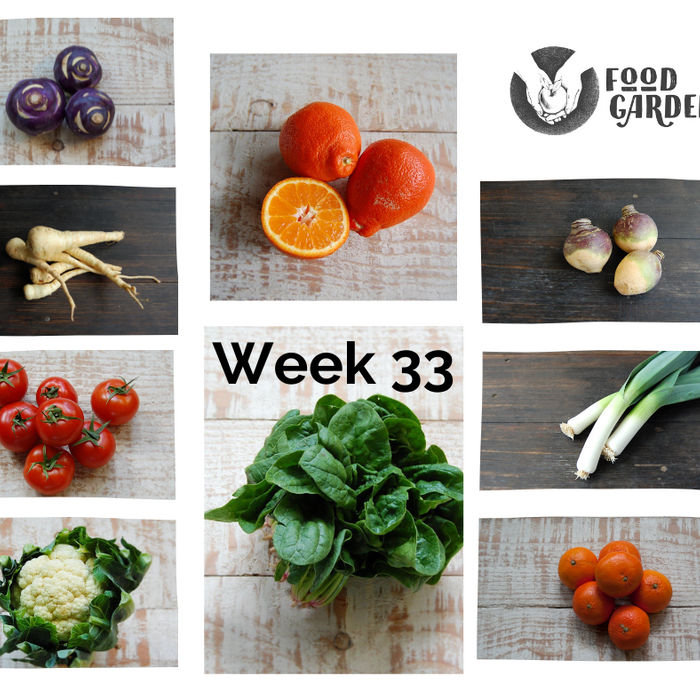Week 33 - Tangelo, Blood Orange, Red Grapefruit, Cara Cara Orange and Kalie Apples