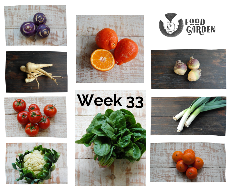 Week 33 - Tangelo, Blood Orange, Red Grapefruit, Cara Cara Orange and Kalie Apples