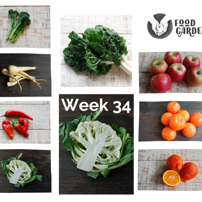 Week 34 - Red Wombok, Bullhorn Capsicum, Kohlrabi, Fennel and Kalie and Braeburn Apples