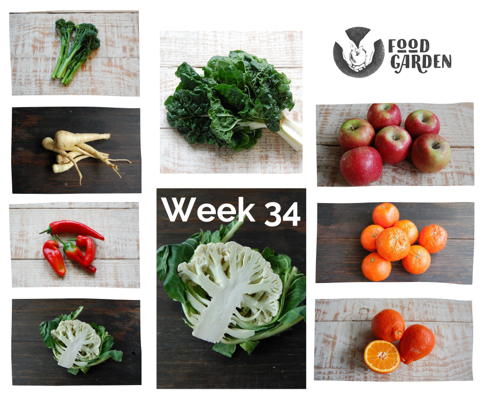 Week 34 - Red Wombok, Bullhorn Capsicum, Kohlrabi, Fennel and Kalie and Braeburn Apples