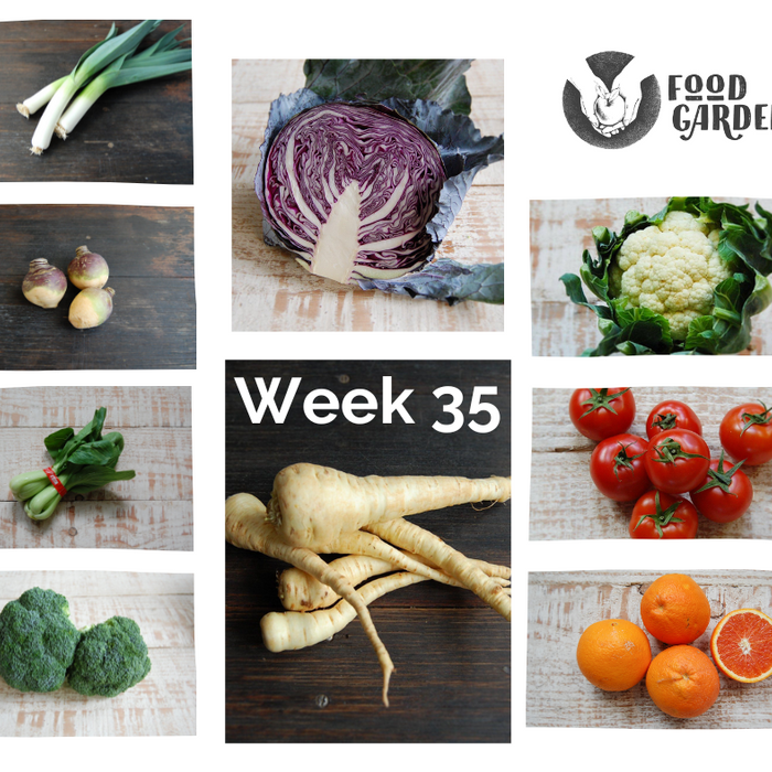 Week 35 - Broccoli, Red Cabbage, Cauliflower, Swede, Parsnip - all from biodynamic growers