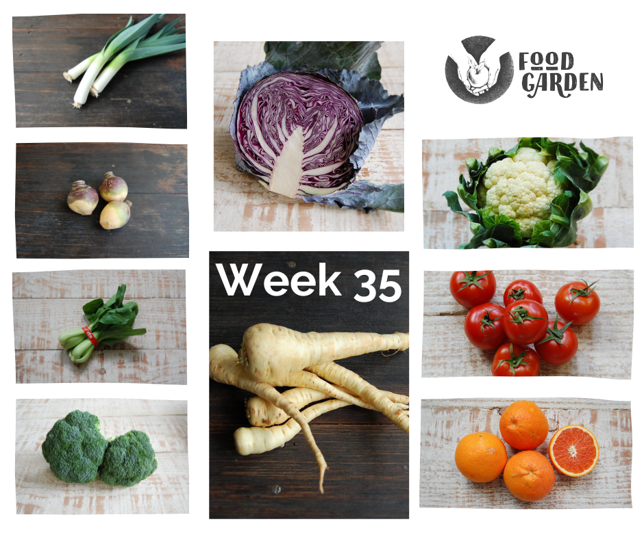 Week 35 - Broccoli, Red Cabbage, Cauliflower, Swede, Parsnip - all from biodynamic growers