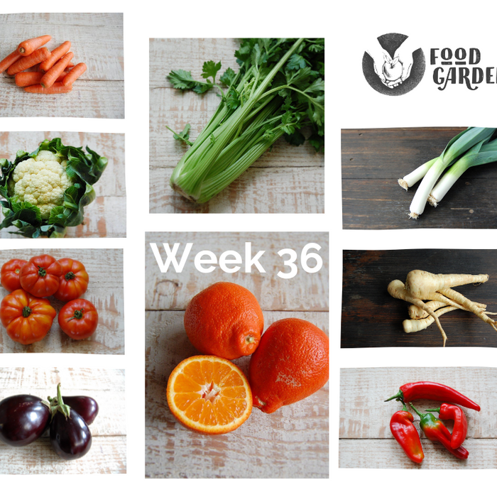 Week 36 - Tomato, Parsnip, Kohlrabi, Capsicum, Celery and Leeks