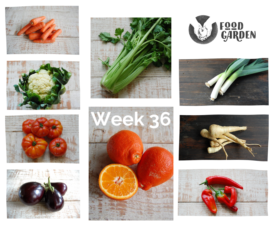 Week 36 - Tomato, Parsnip, Kohlrabi, Capsicum, Celery and Leeks