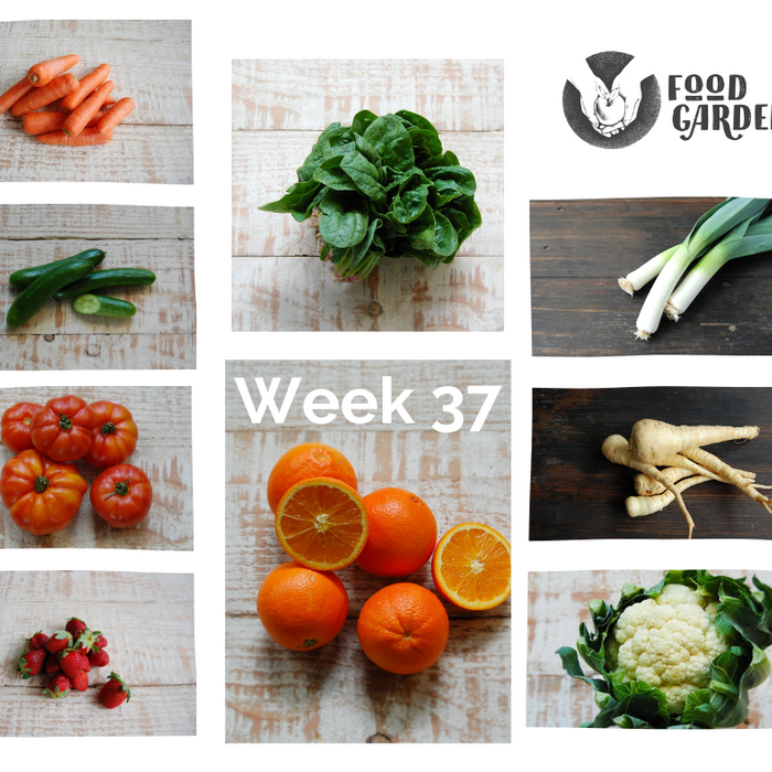 Week 37 - Biodynamic Swede, Cauliflower, Broad Beans, Onions, Spinach and Baby Cos Lettuce