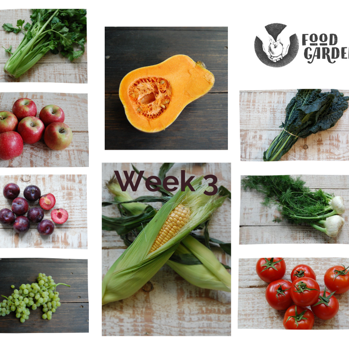 Week 3 - Butternut Pumpkin, Gippsland Celery, Black Kale, Sweet Corn, Beans and new season Pippin Apples
