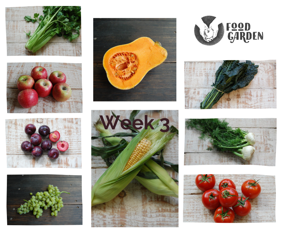 Week 3 - Butternut Pumpkin, Gippsland Celery, Black Kale, Sweet Corn, Beans and new season Pippin Apples