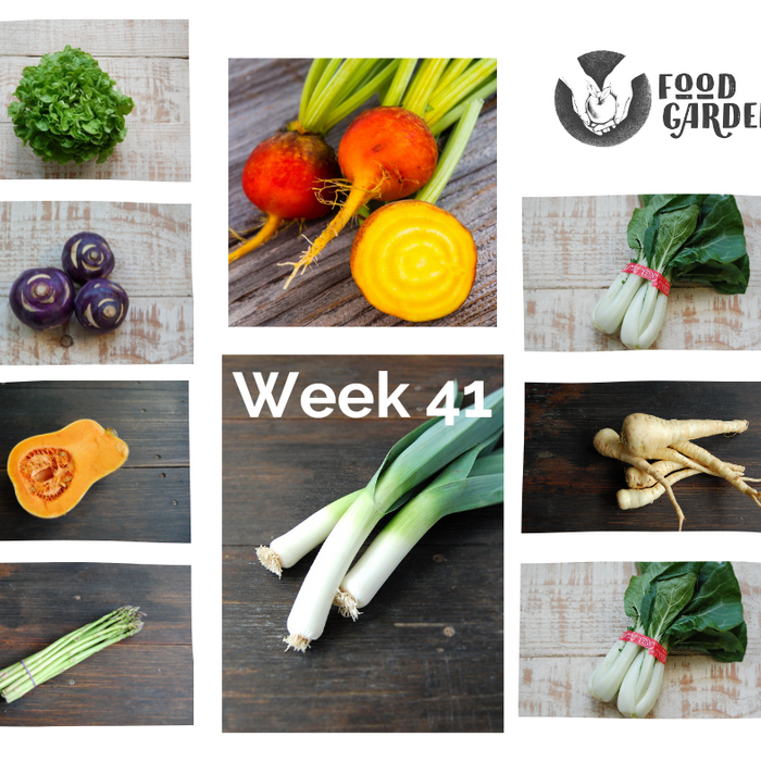 Week 41 - Asparagus, Gold Beetroot, Kohlrabi, Bok Choy, Black Kale and Rhubarb