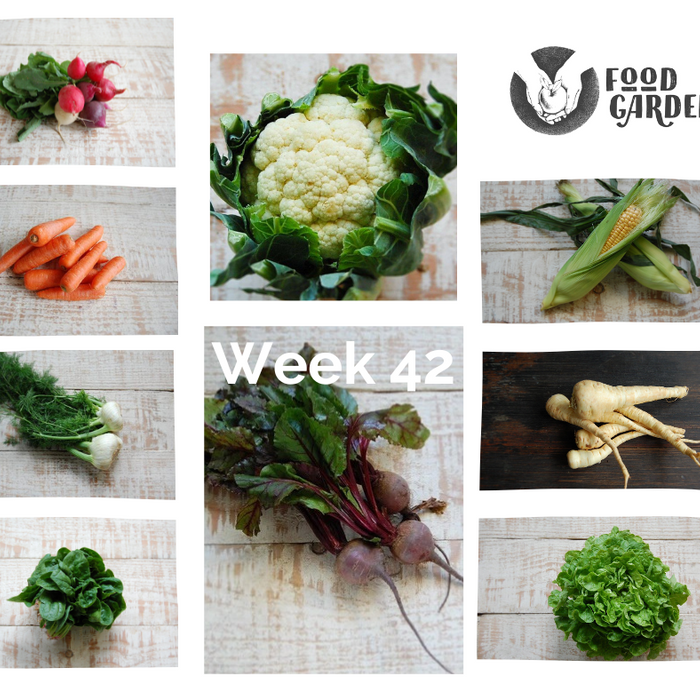 Week 42 - Fennel, Oak Lettuce, Snow Peas, Broccolini, Spinach, Beetroot and Radish