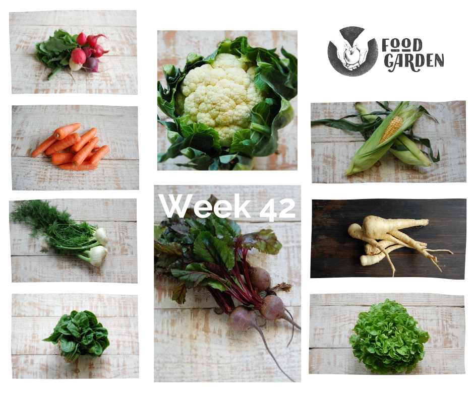 Week 42 - Fennel, Oak Lettuce, Snow Peas, Broccolini, Spinach, Beetroot and Radish