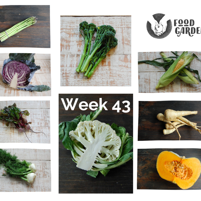 Week 43 - Pumpkin, Broccolini, Red Cabbage, Snow Peas, Sweet Corn and Kalie Apples