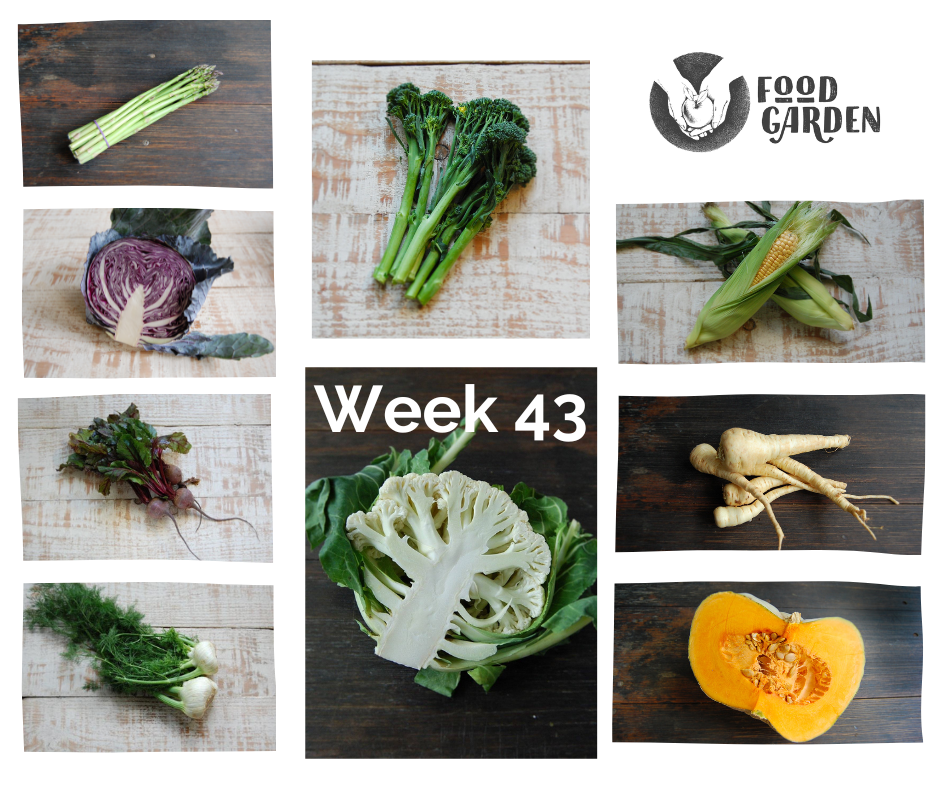 Week 43 - Pumpkin, Broccolini, Red Cabbage, Snow Peas, Sweet Corn and Kalie Apples