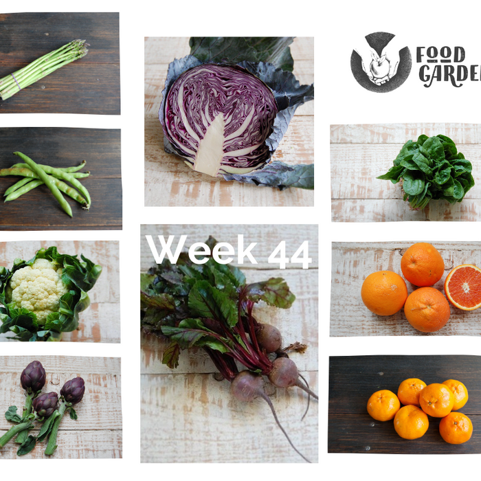 Week 44 - Broccoli, Beans, Artichokes, Pak Choy, Cucumber, Zucchini and Nectarines