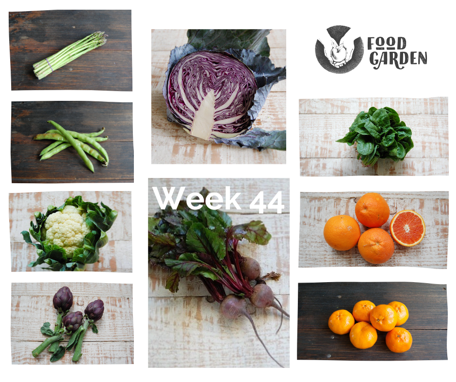 Week 44 - Broccoli, Beans, Artichokes, Pak Choy, Cucumber, Zucchini and Nectarines